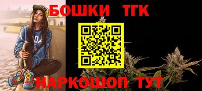 тгк Гай